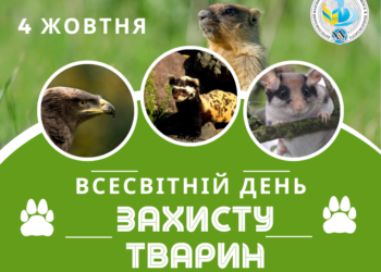 4World Animal Day (Допис у Facebook (Альбомна))